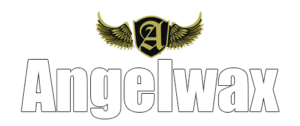 new-trans-logo-no-tagline2